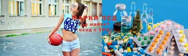 шишки Костерёво