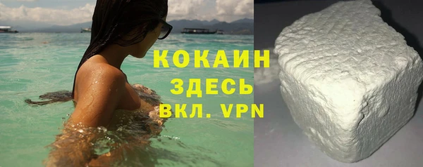шишки Корсаков