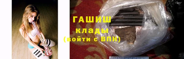 шишки Корсаков