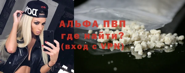 шишки Корсаков