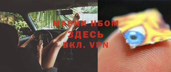 шишки Костерёво