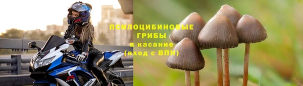 шишки Костерёво