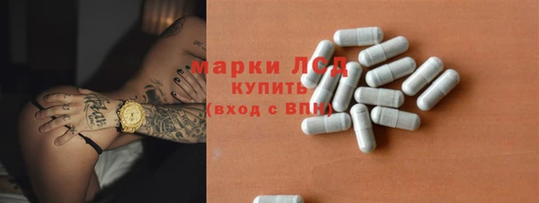шишки Корсаков