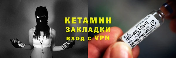 шишки Корсаков