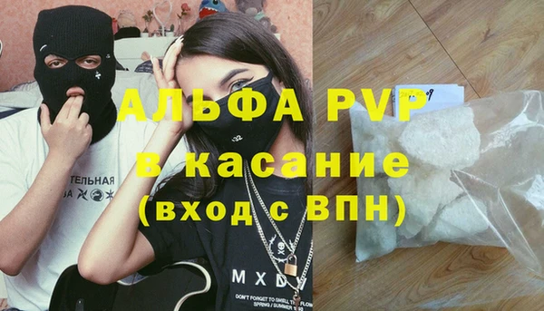 шишки Костерёво