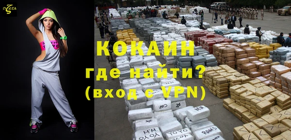шишки Корсаков