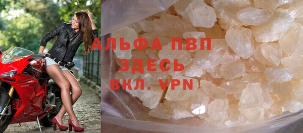 шишки Корсаков